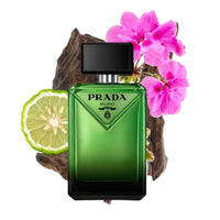 Paradigme Prada Masculino