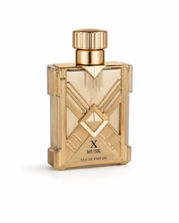 X Musk EDP